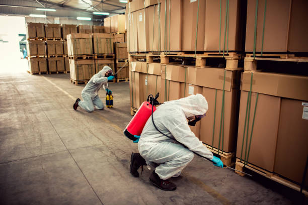 Best Wasp Removal Services  in Durant, MS