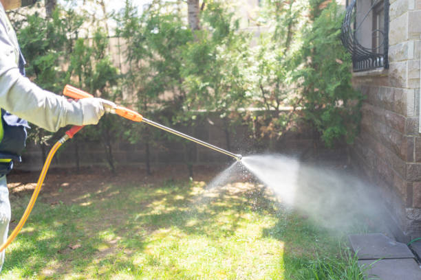 Best Affordable Pest Control Services  in Durant, MS