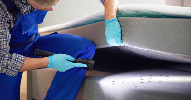 Best Rat Extermination Near Me  in Durant, MS